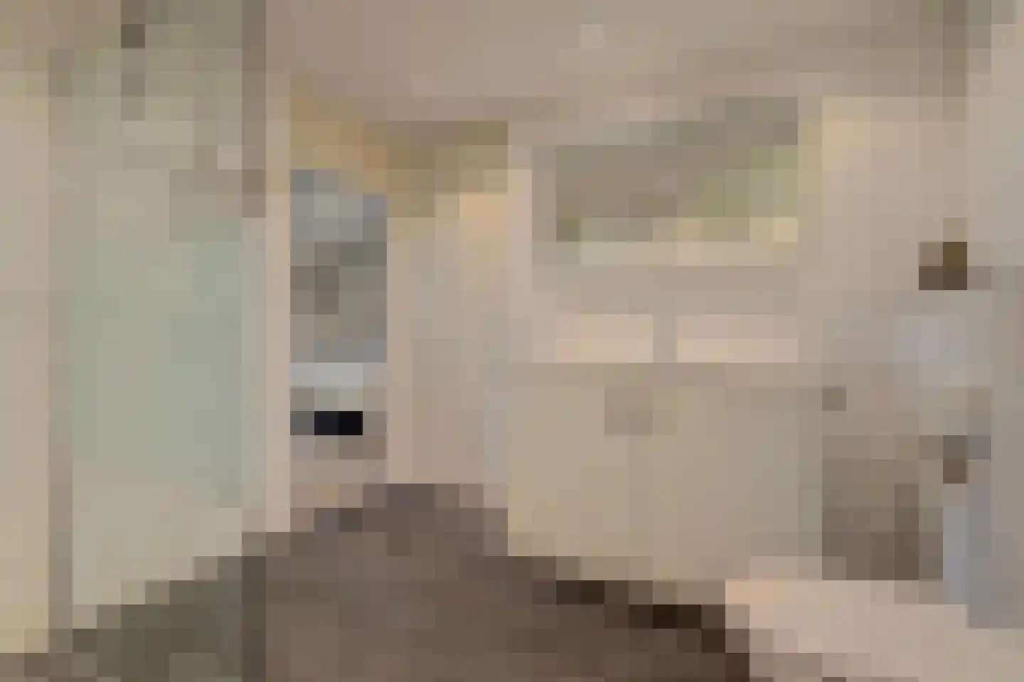 Loolaan 492 Apeldoorn thumbnail 38