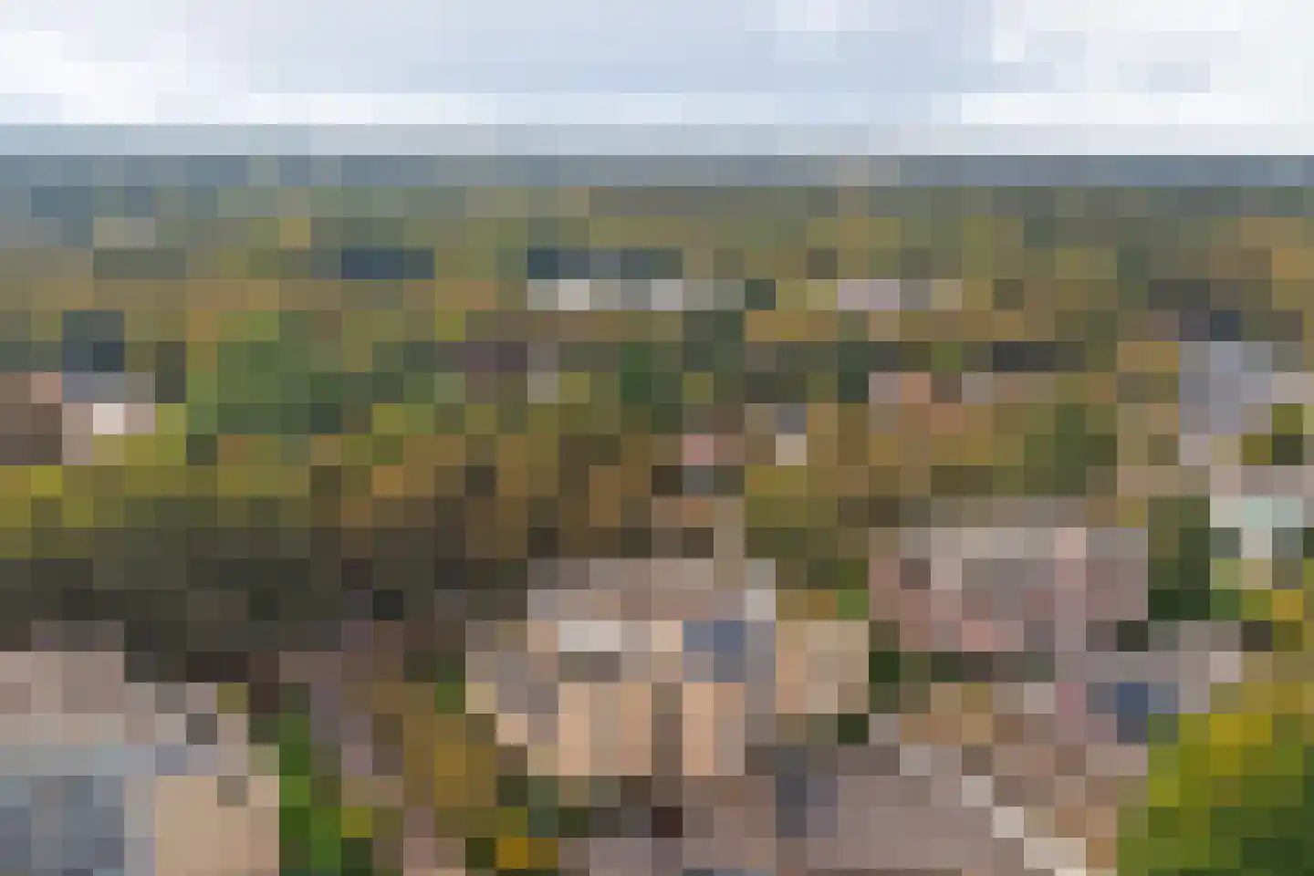 Loolaan 492 Apeldoorn thumbnail 55