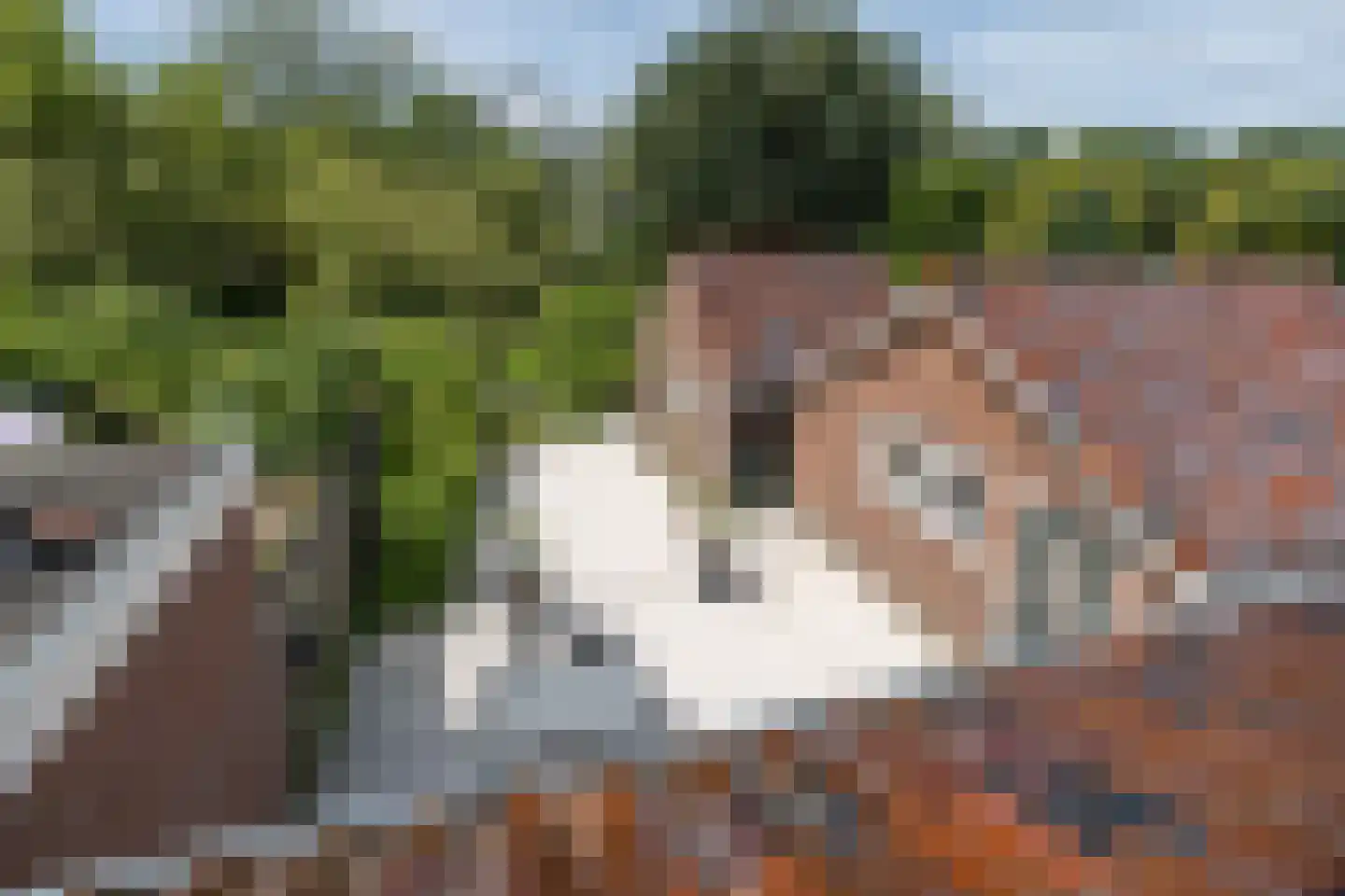 Loolaan 5 a Driebergen-Rijsenburg thumbnail 26