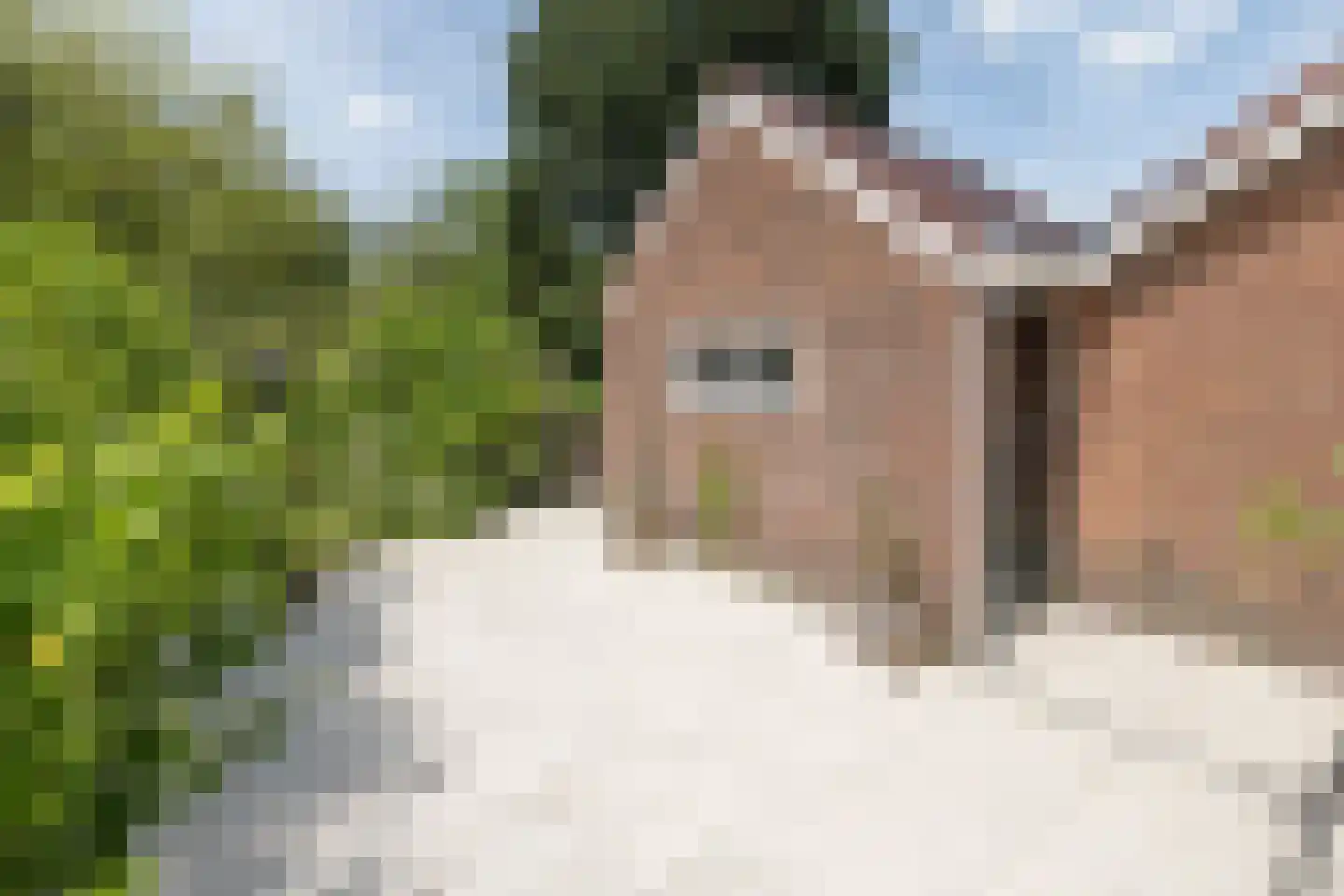 Loolaan 5 a Driebergen-Rijsenburg thumbnail 38