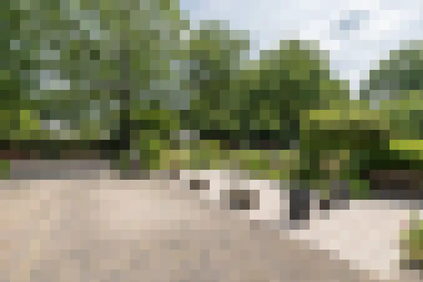 Loolaan 5 a Driebergen-Rijsenburg thumbnail 44