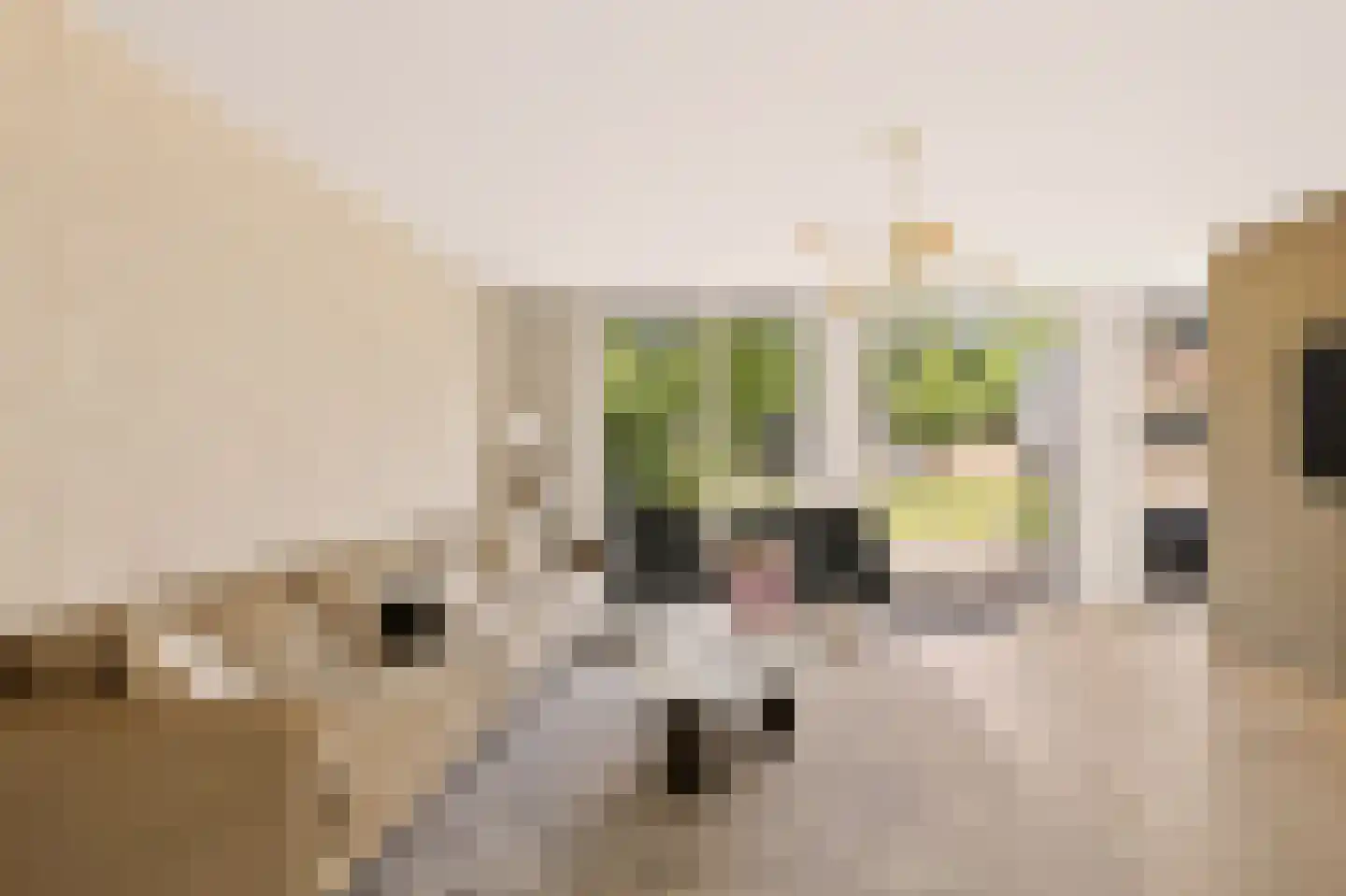 Loolaan 51 Driebergen-Rijsenburg thumbnail 18