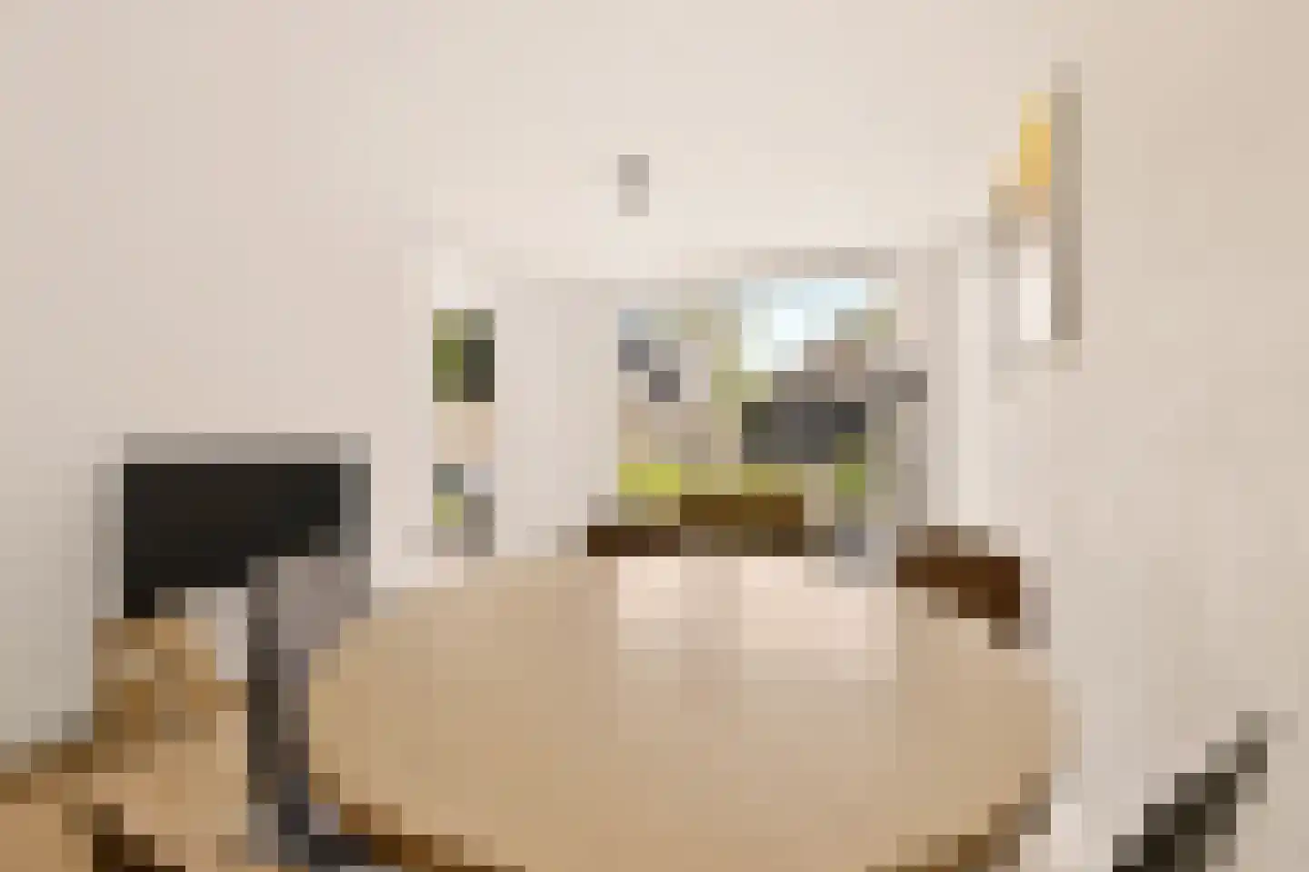 Loolaan 51 Driebergen-Rijsenburg thumbnail 39