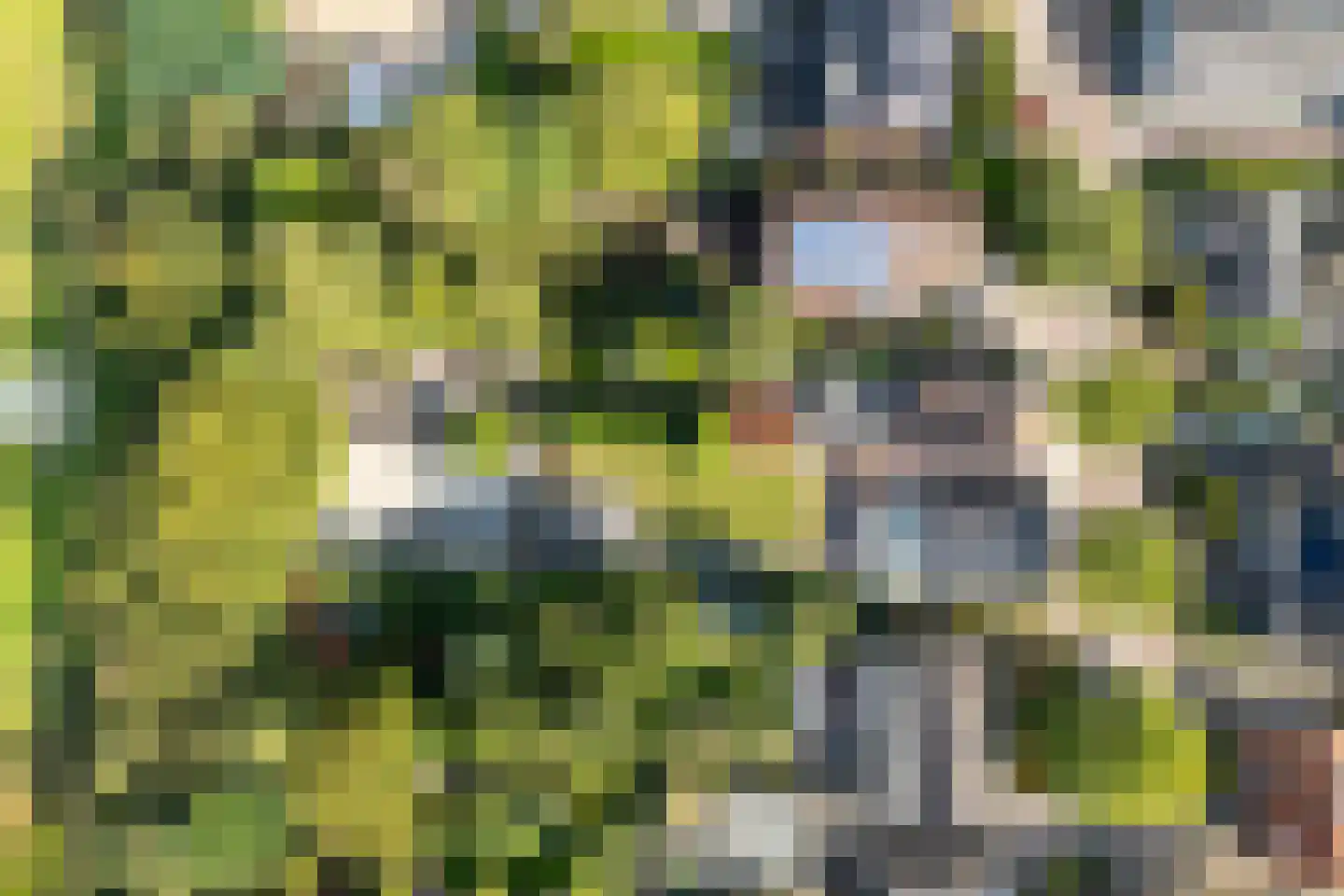 Loolaan 51 Driebergen-Rijsenburg thumbnail 46