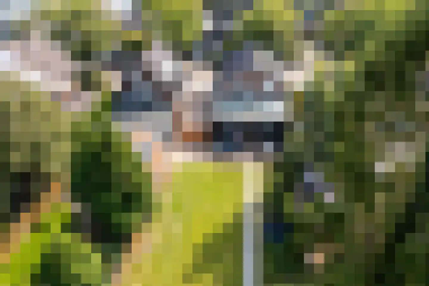 Loolaan 51 Driebergen-Rijsenburg thumbnail 47