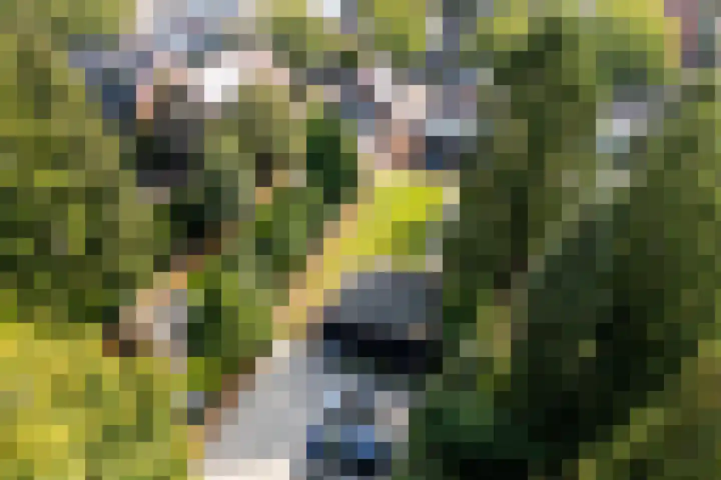 Loolaan 51 Driebergen-Rijsenburg thumbnail 48