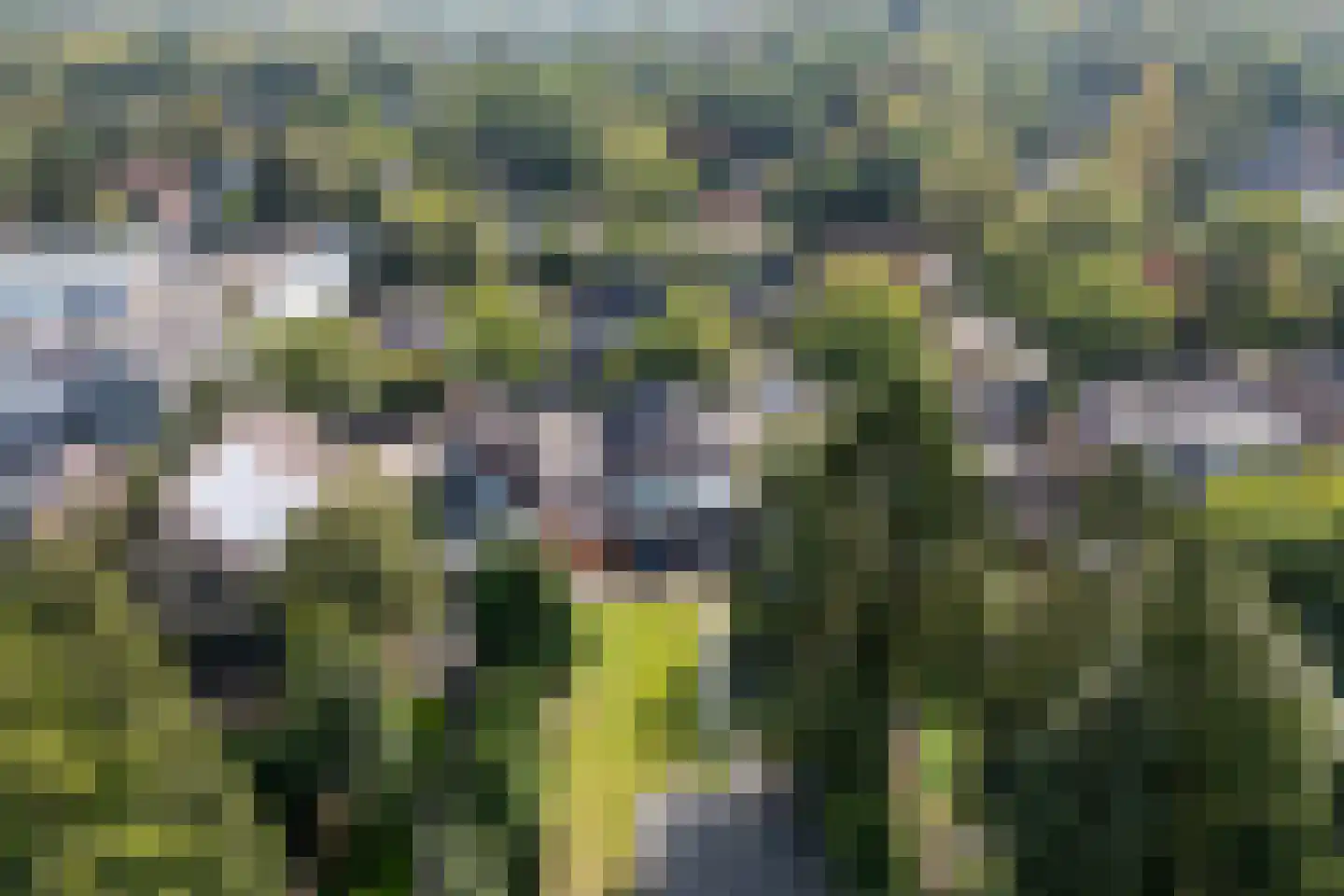 Loolaan 51 Driebergen-Rijsenburg thumbnail 49