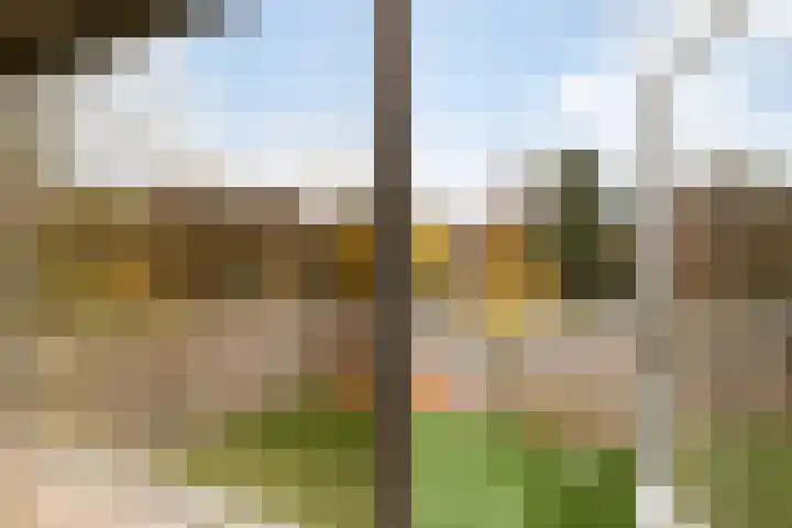 Loolaan 524 Apeldoorn thumbnail 10