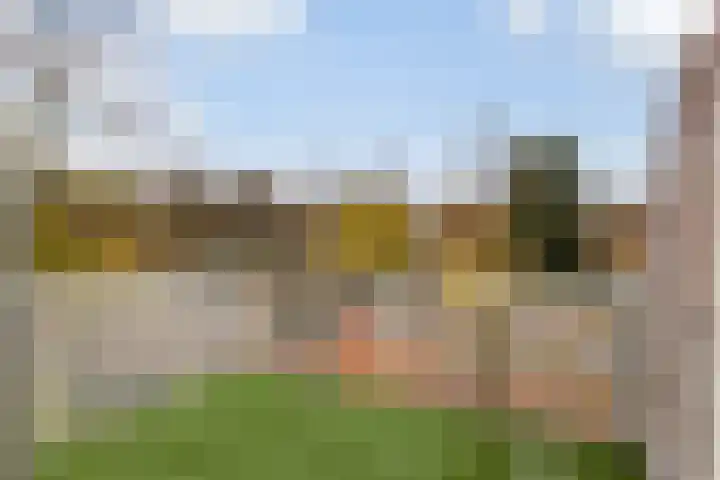 Loolaan 524 Apeldoorn thumbnail 11