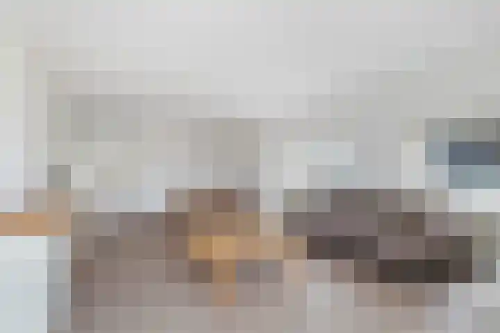 Loolaan 524 Apeldoorn thumbnail 12