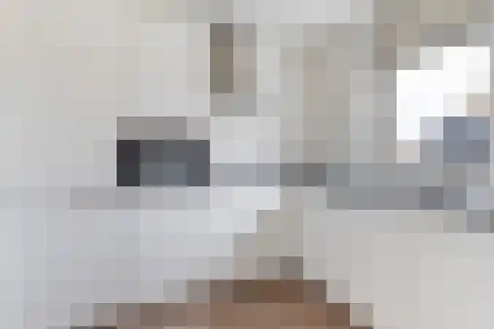 Loolaan 524 Apeldoorn thumbnail 14
