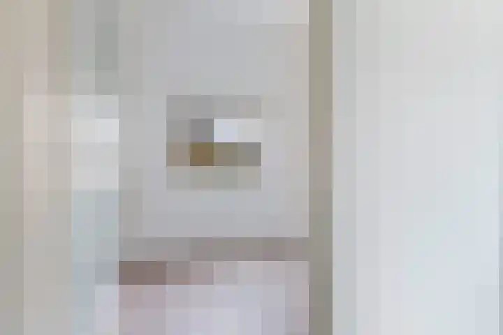 Loolaan 524 Apeldoorn thumbnail 20