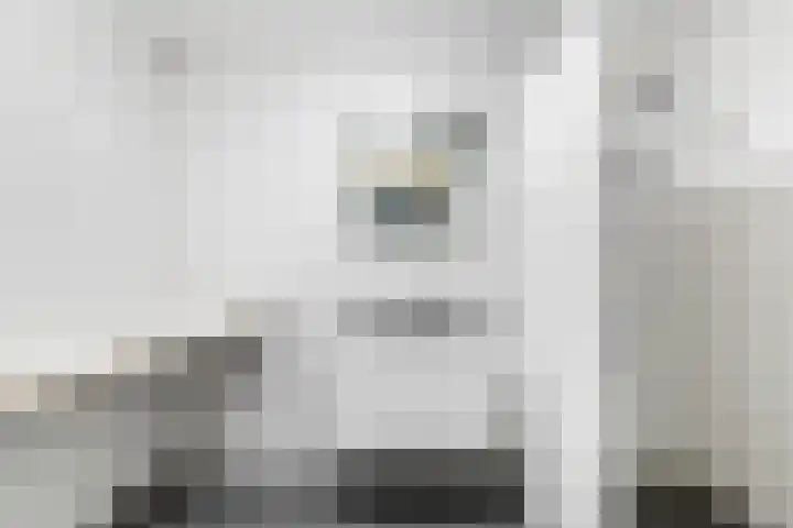 Loolaan 524 Apeldoorn thumbnail 22