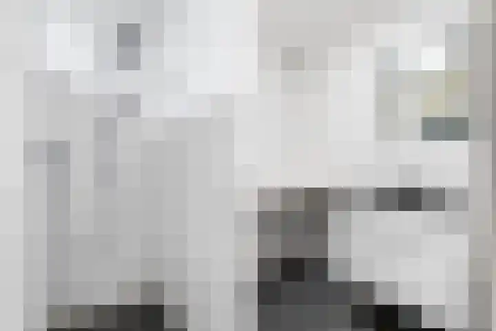 Loolaan 524 Apeldoorn thumbnail 23