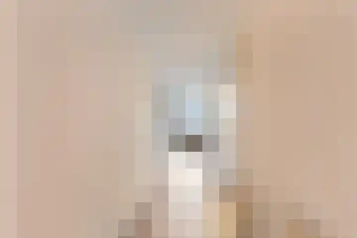 Loolaan 524 Apeldoorn thumbnail 24