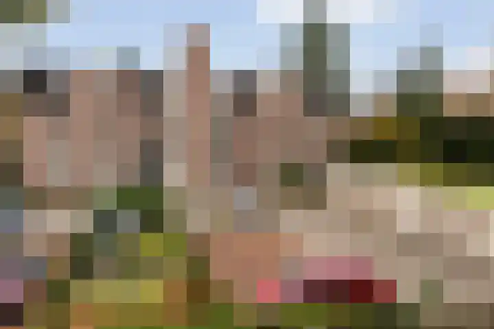 Loolaan 524 Apeldoorn thumbnail 27
