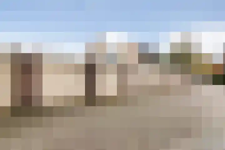 Loolaan 524 Apeldoorn thumbnail 28