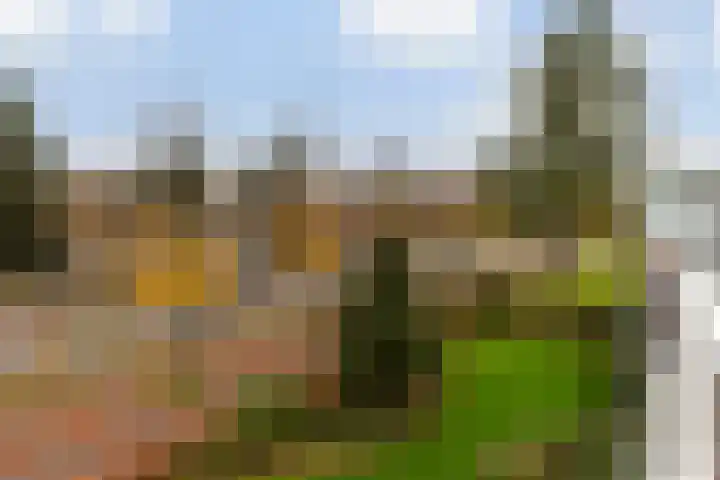 Loolaan 524 Apeldoorn foto 3