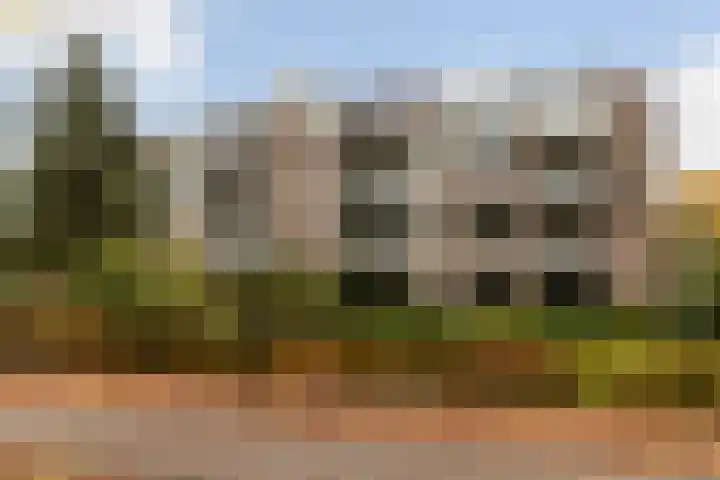 Loolaan 524 Apeldoorn thumbnail 31