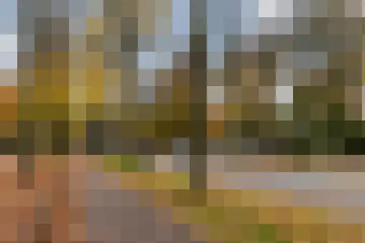 Loolaan 524 Apeldoorn thumbnail 32