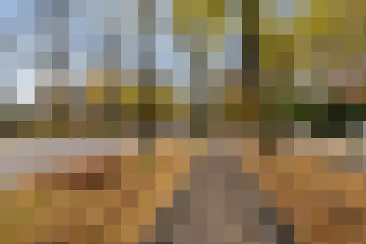 Loolaan 524 Apeldoorn thumbnail 33