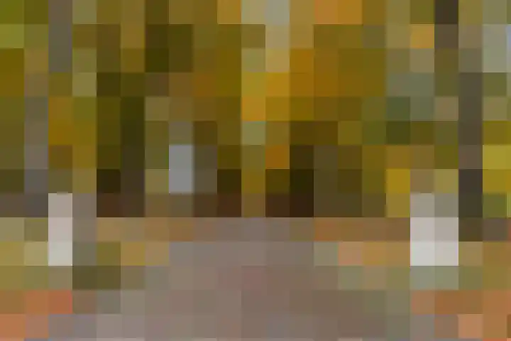 Loolaan 524 Apeldoorn thumbnail 34