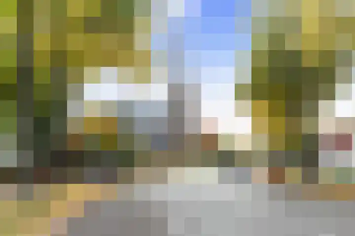 Loolaan 524 Apeldoorn thumbnail 36