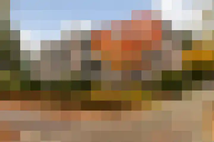 Loolaan 524 Apeldoorn thumbnail 4