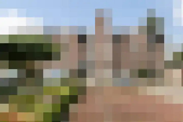 Loolaan 524 Apeldoorn thumbnail 5