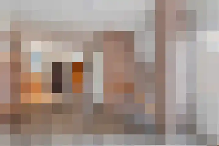 Loolaan 524 Apeldoorn thumbnail 6