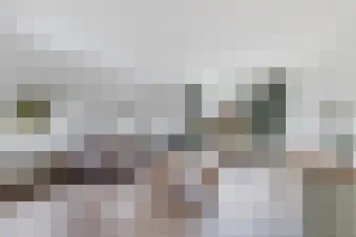 Loolaan 524 Apeldoorn thumbnail 8