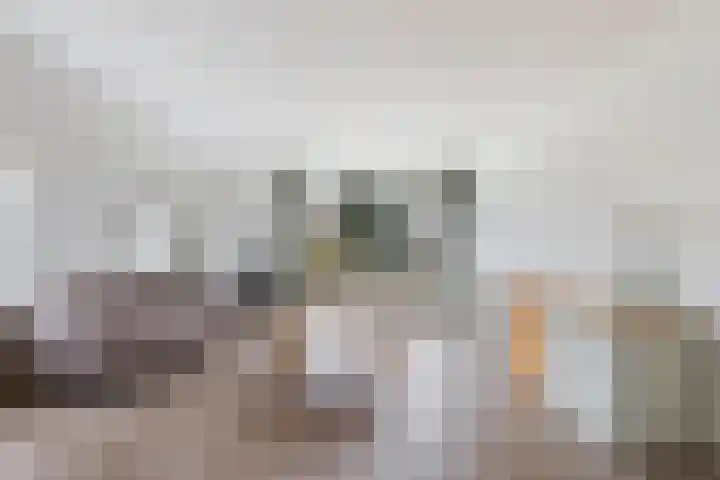 Loolaan 524 Apeldoorn thumbnail 9
