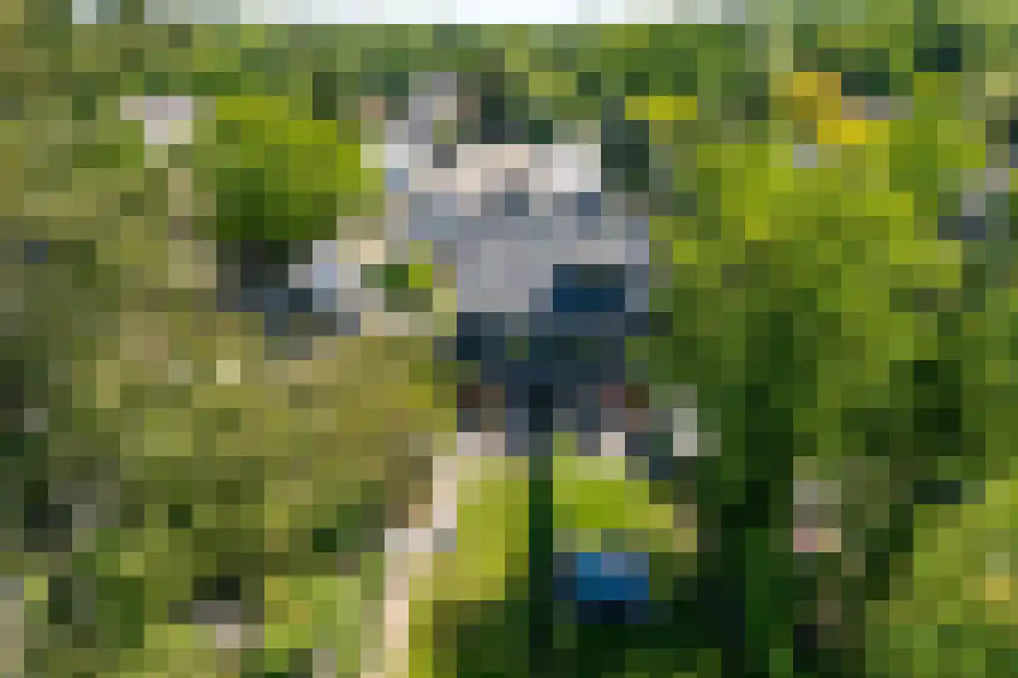 Loolaan 55 a Driebergen-Rijsenburg thumbnail 32