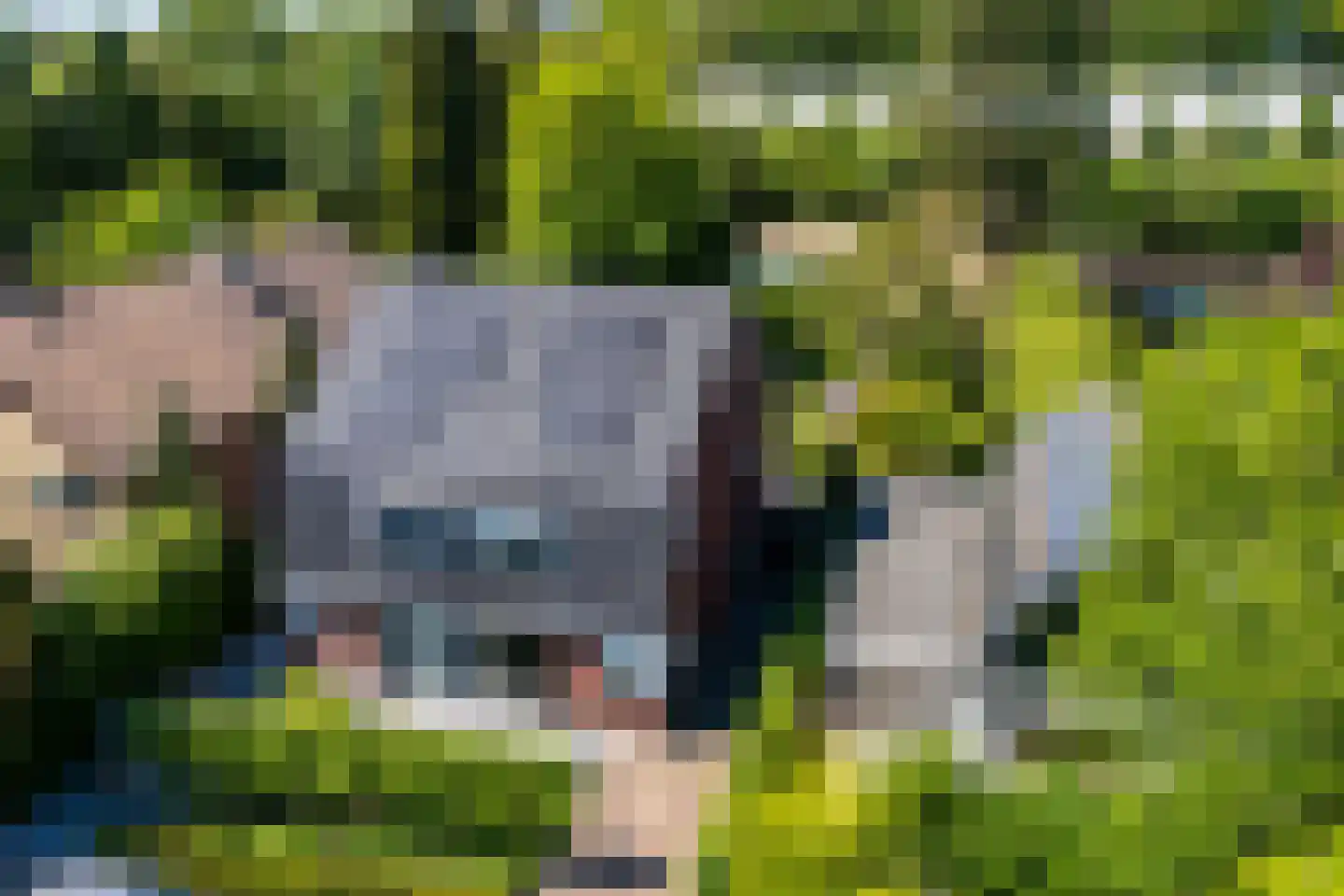 Loolaan 55 a Driebergen-Rijsenburg thumbnail 33