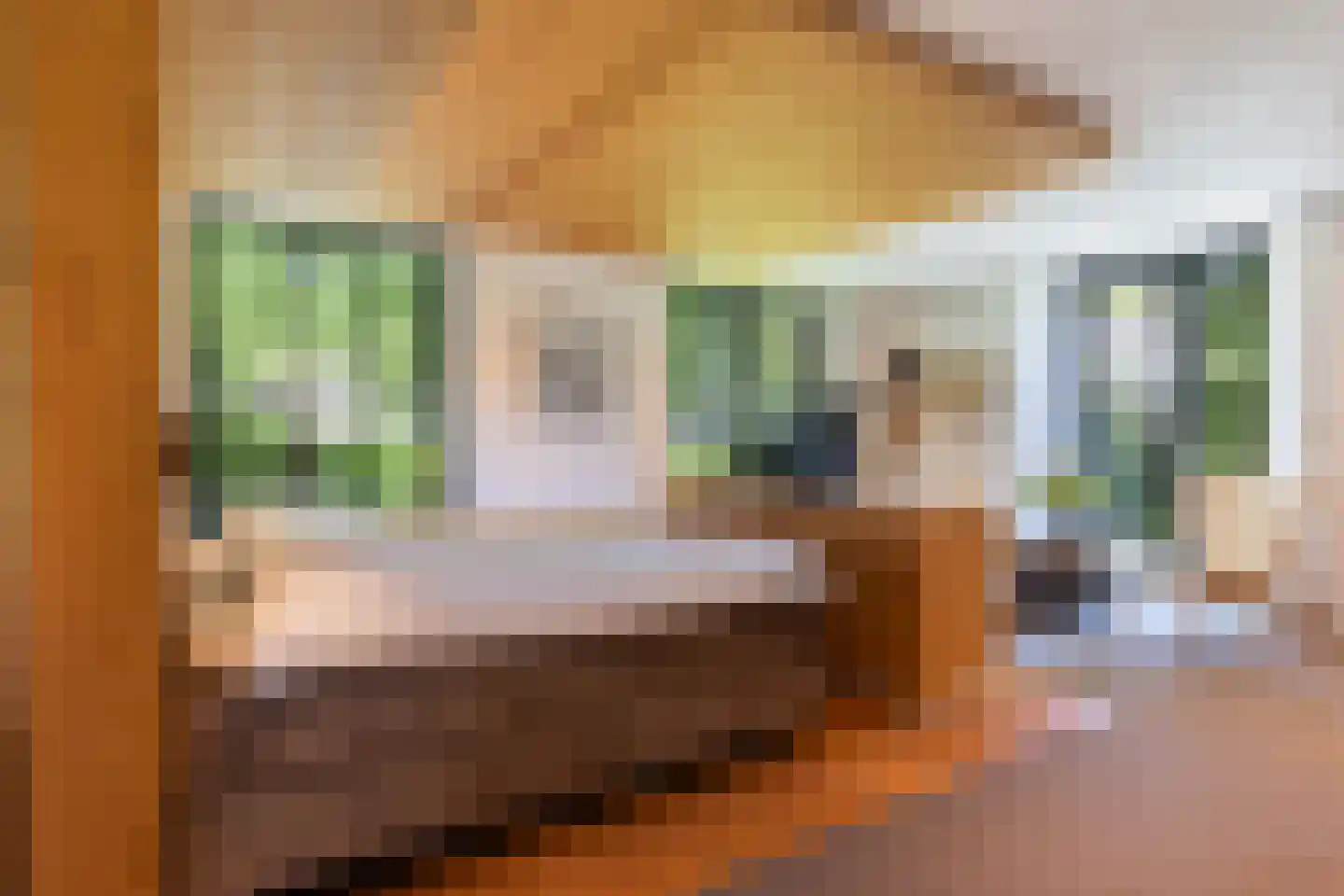 Loolaan 57 A Apeldoorn thumbnail 21
