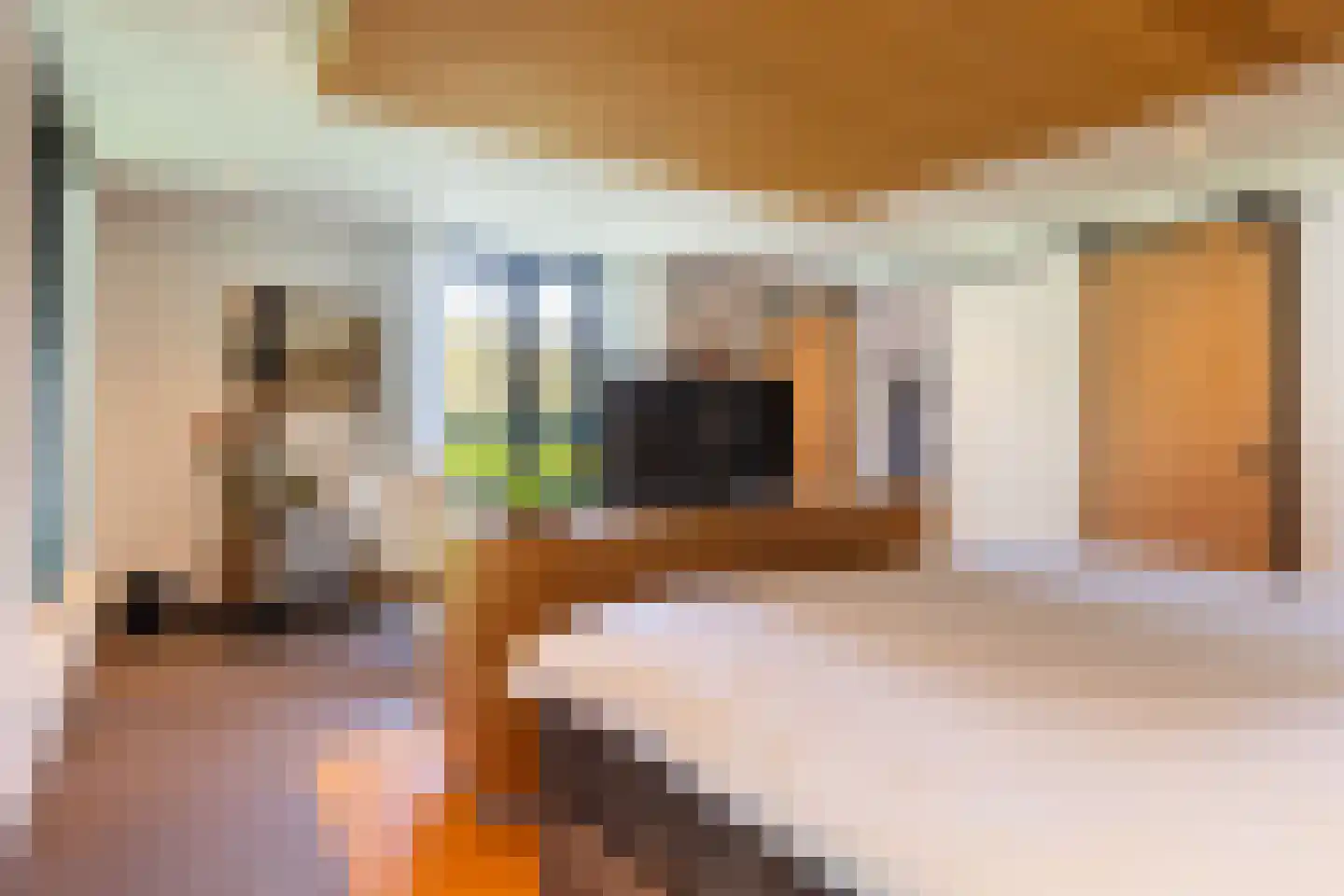 Loolaan 57 A Apeldoorn thumbnail 22