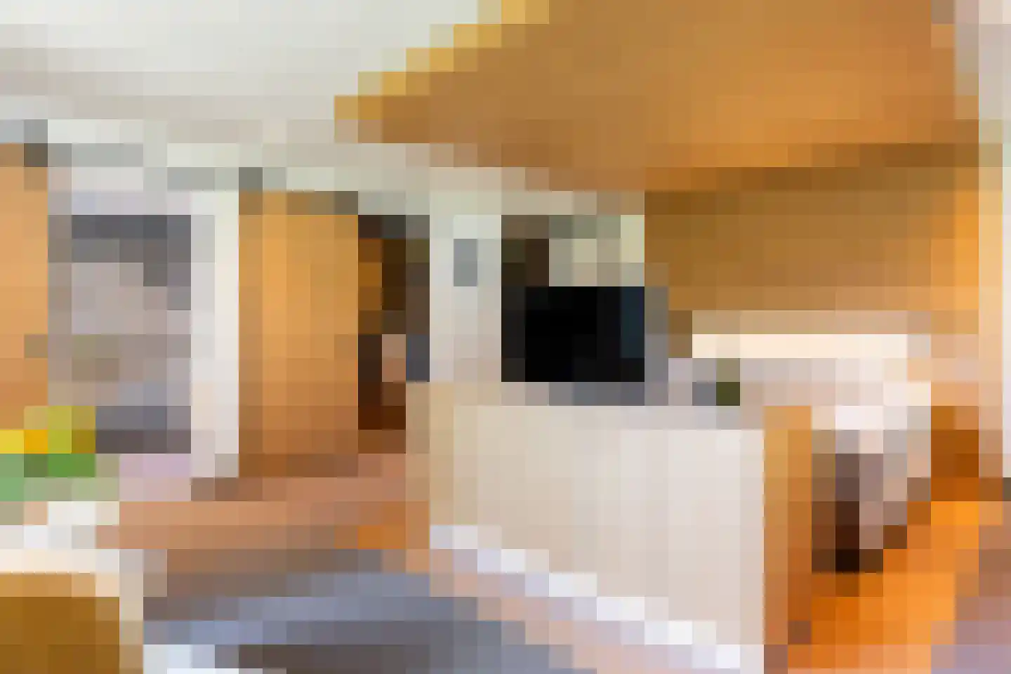 Loolaan 57 A Apeldoorn thumbnail 23