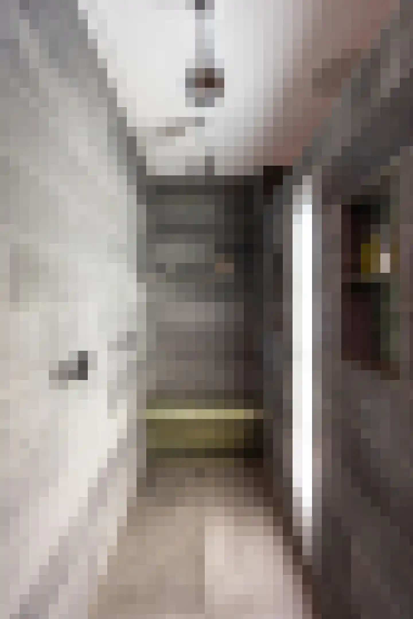 Loolaan 57 A Apeldoorn thumbnail 28