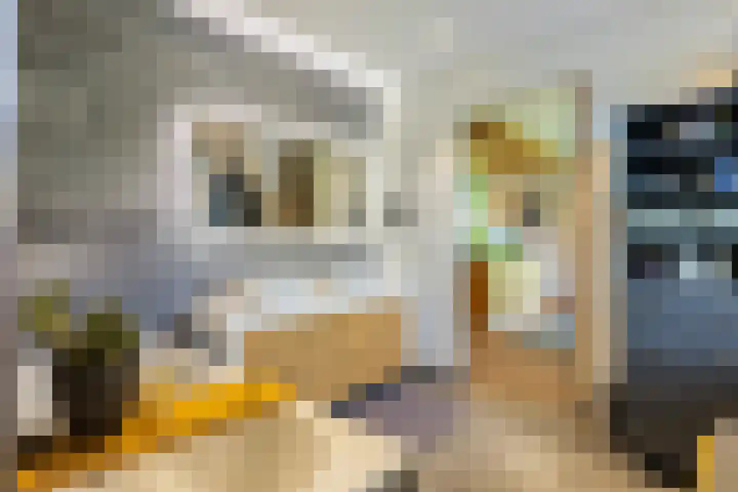 Loolaan 57 A Apeldoorn thumbnail 29
