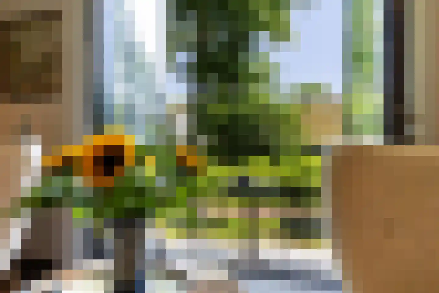 Loolaan 57 A Apeldoorn thumbnail 31
