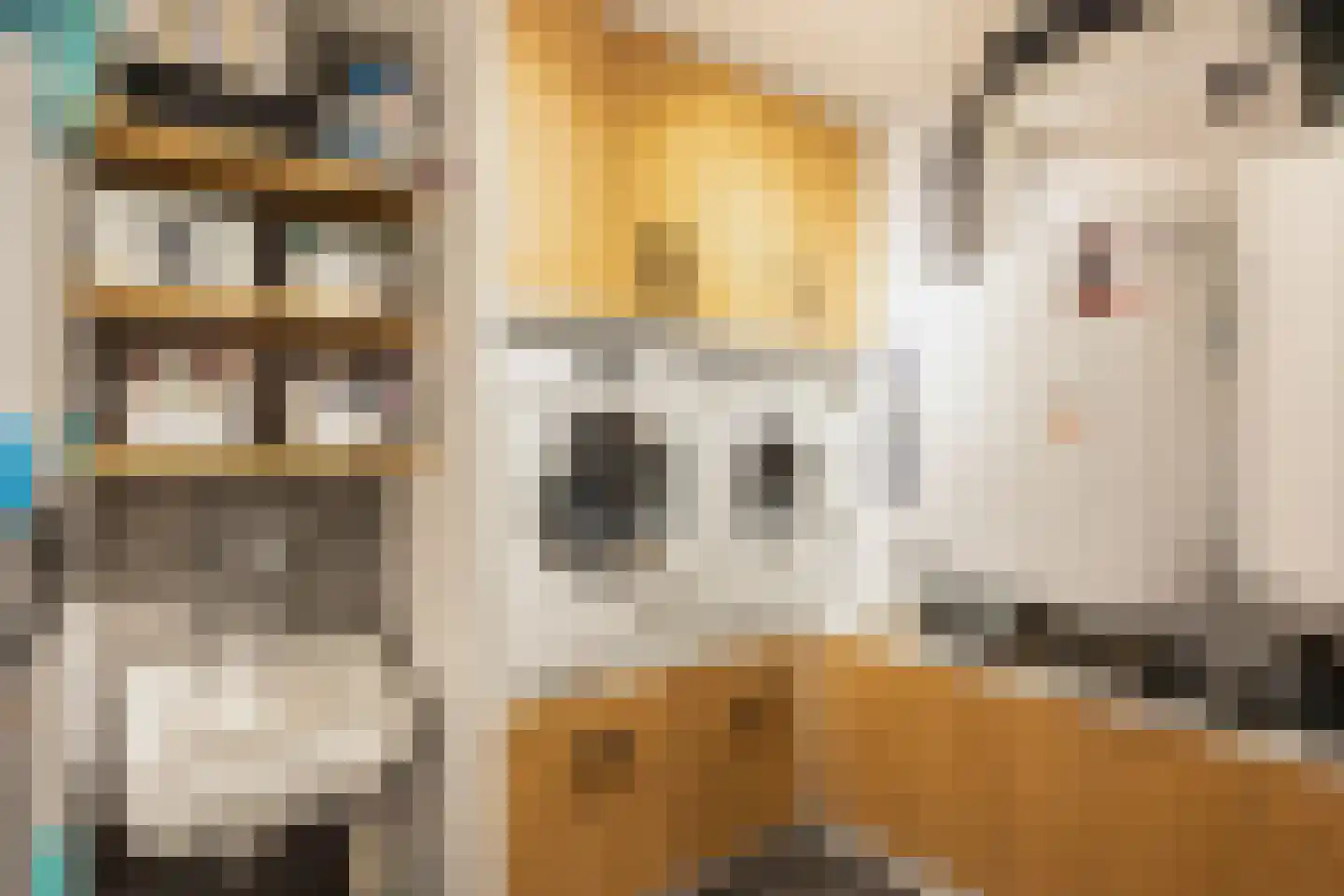 Loolaan 57 A Apeldoorn thumbnail 37
