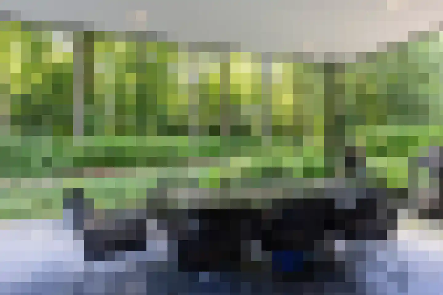 Loolaan 57 A Apeldoorn thumbnail 39