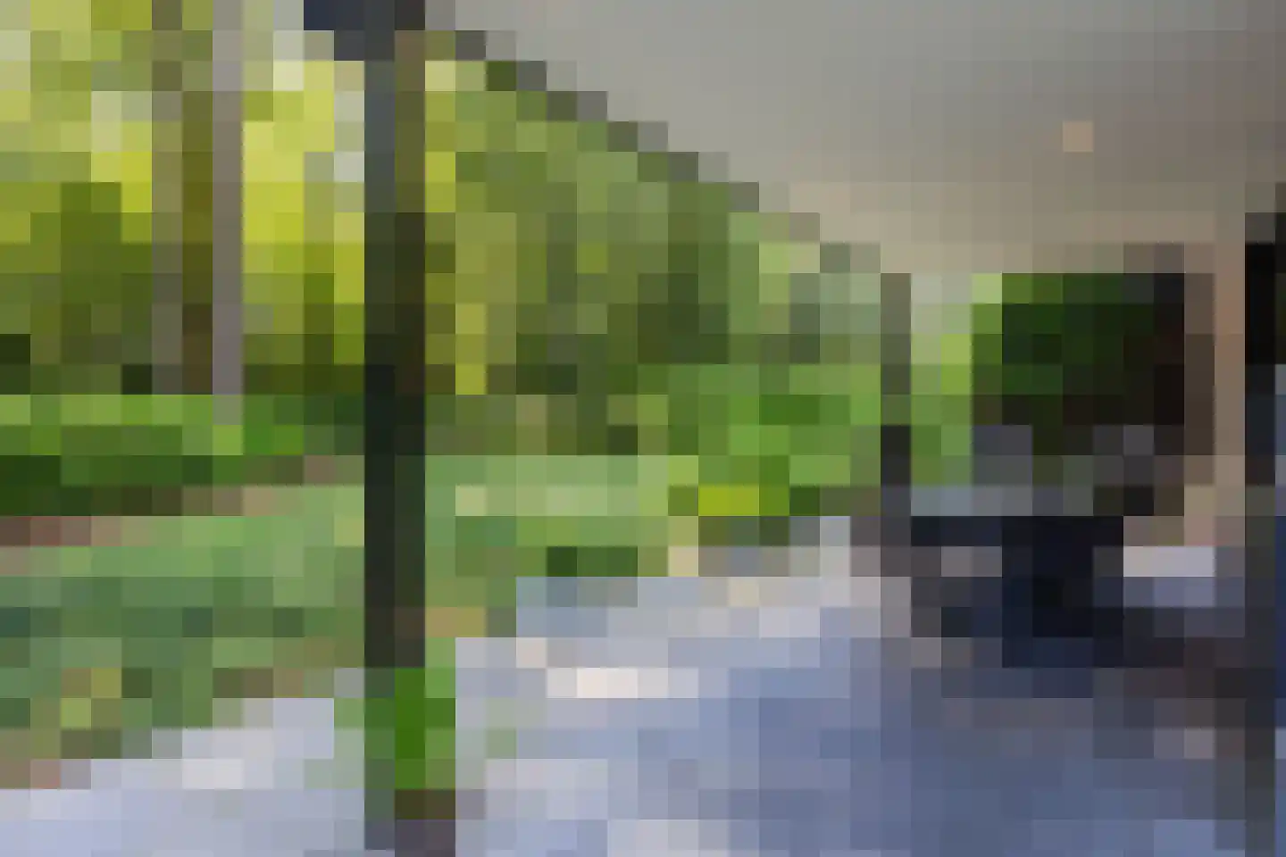 Loolaan 57 A Apeldoorn thumbnail 40