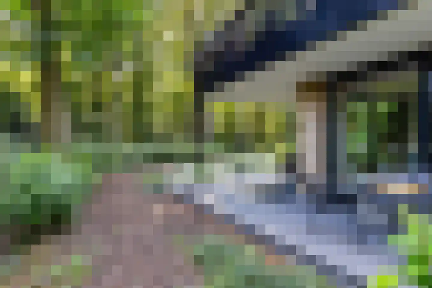Loolaan 57 A Apeldoorn thumbnail 41