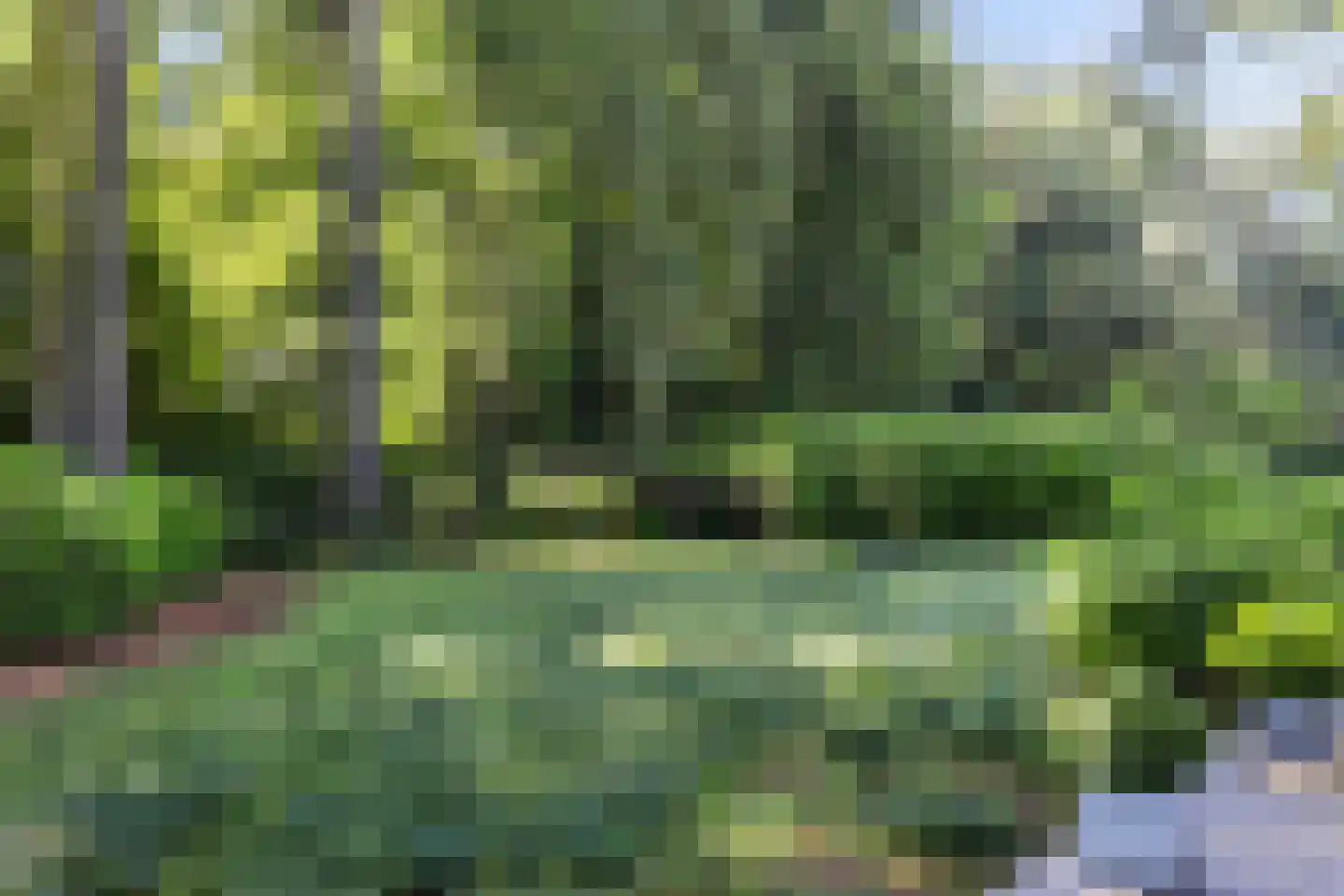 Loolaan 57 A Apeldoorn thumbnail 42