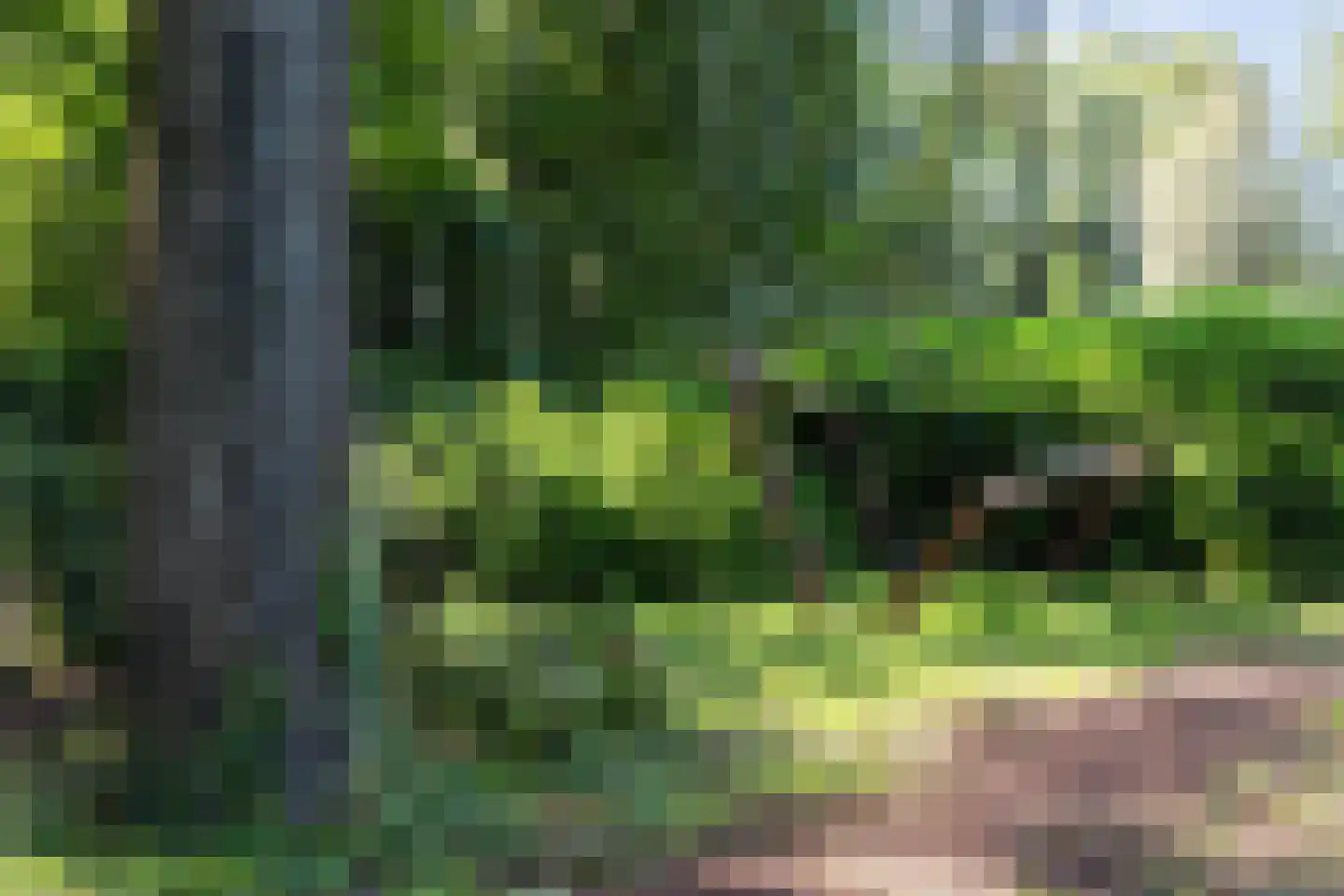 Loolaan 57 A Apeldoorn thumbnail 43