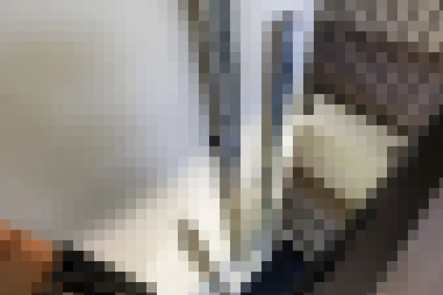 Loolaan 57 A Apeldoorn thumbnail 49