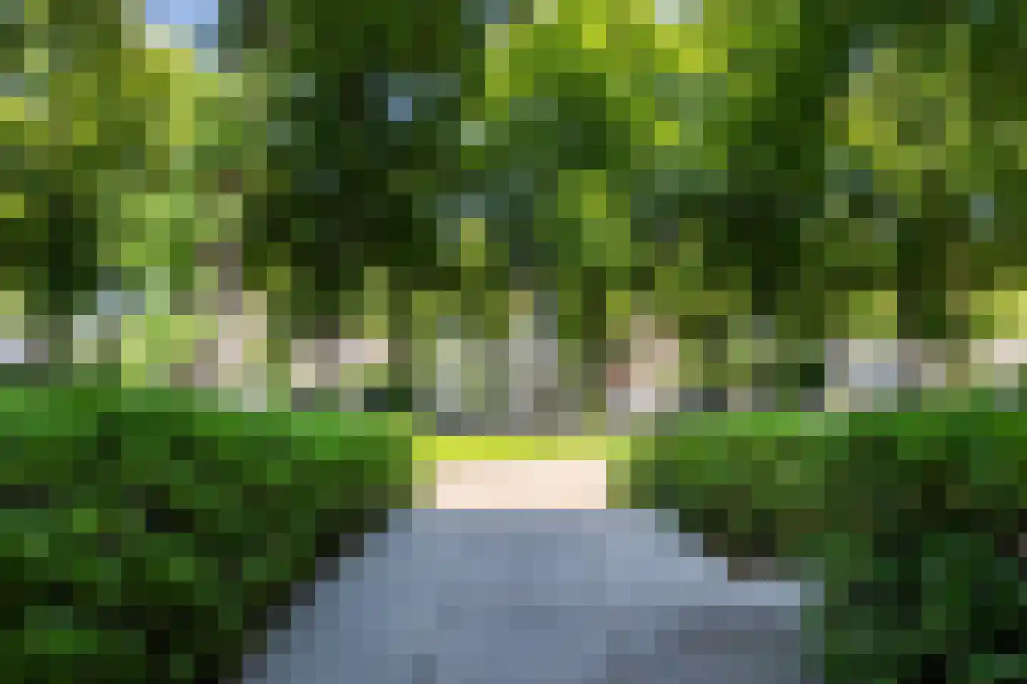 Loolaan 57 A Apeldoorn thumbnail 55