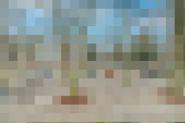 Loolaan 65 B Apeldoorn thumbnail 12