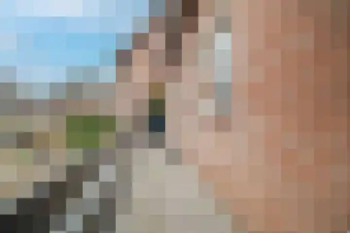 Loolaan 65 B Apeldoorn thumbnail 23